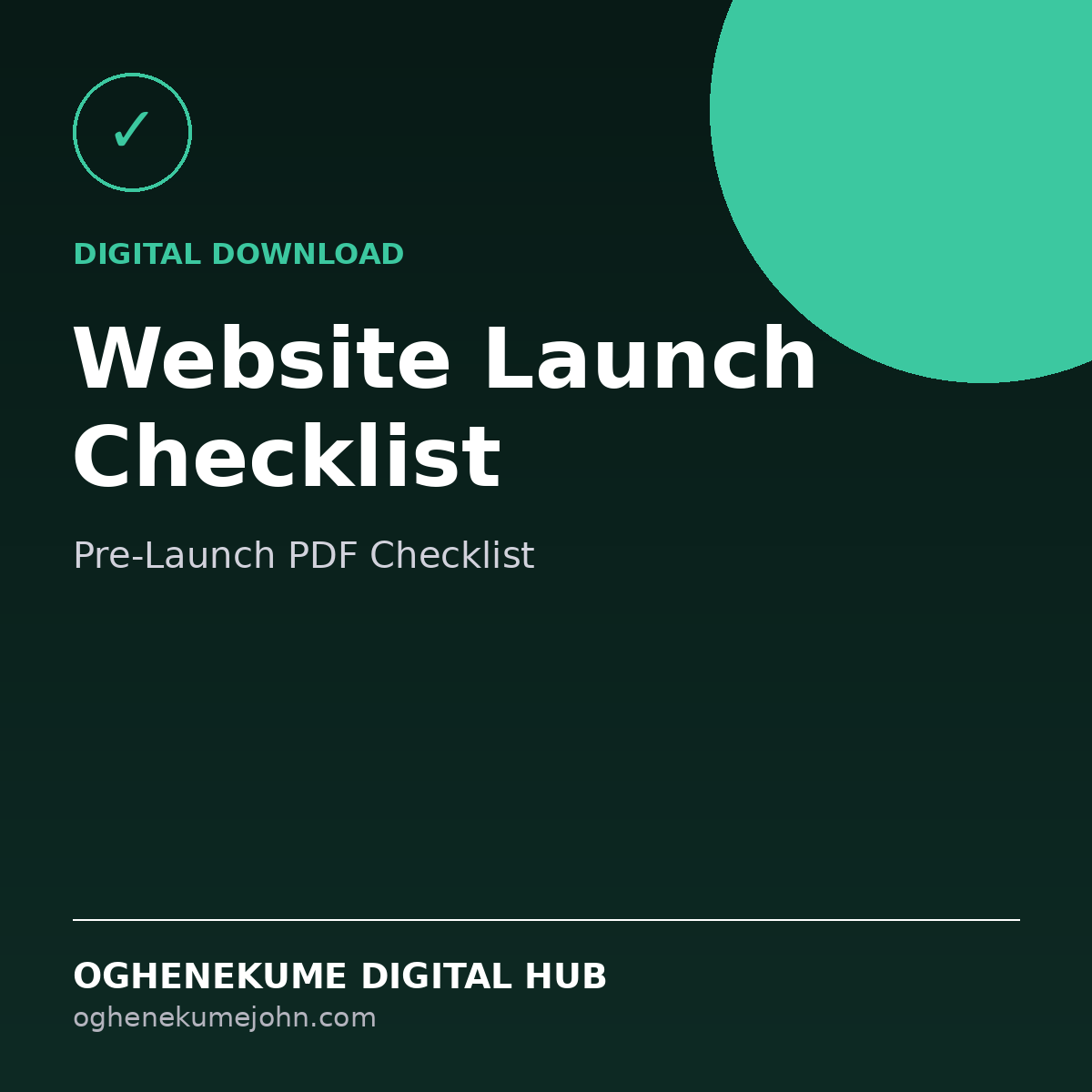 Website Launch Checklist (Digital Download)